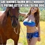 FB_IMG_1744156829946.jpg