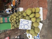 IMG_3373.jpeg