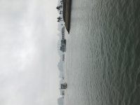 IMG_6506.jpeg