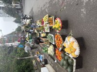 IMG_3473.jpeg