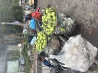 IMG_3472.jpeg
