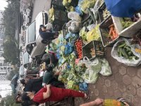 IMG_3470.jpeg