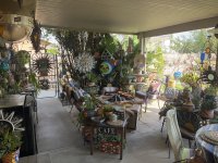 IMG_1571.jpeg