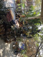 IMG_1573.jpeg