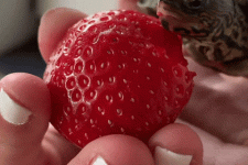 IMG_1662.gif