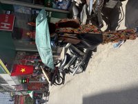 IMG_3727.jpeg