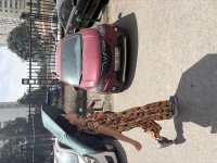 IMG_3730.jpeg