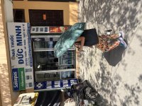 IMG_3729.jpeg