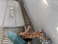 IMG_3725.jpeg