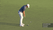 1744844422969.gif