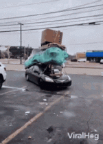 1744922150520.gif