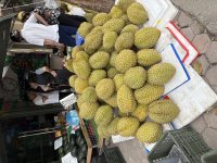 IMG_3886.jpeg