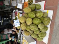 IMG_3888.jpeg