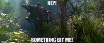 1744994416293.gif