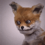 1745082219007.gif