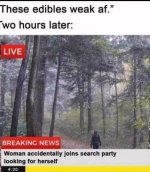 1745091044047.jpeg