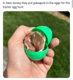 1745175102209.jpeg