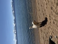 IMG_2018.jpeg