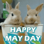 1745291244785.gif