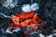 5i8L.gif