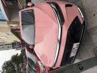 IMG_4157.jpeg