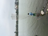 IMG_4335.jpeg