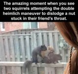 FB_IMG_1745606423571.jpg