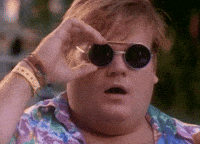 IMG_1858.gif