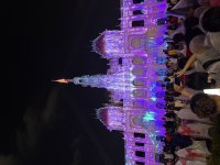 IMG_4481.jpeg