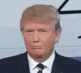 1745997500592.gif