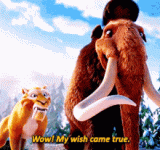 1746037303248.gif