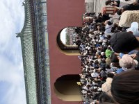IMG_4785.jpeg