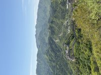 IMG_4751.jpeg