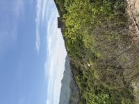 IMG_4752.jpeg