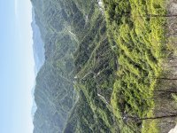 IMG_4745.jpeg