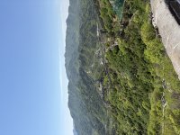 IMG_4735.jpeg