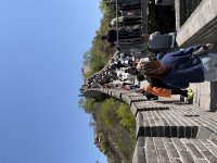 IMG_4716.jpeg