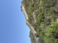 IMG_4715.jpeg