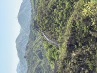 IMG_4677.jpeg