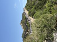 IMG_4683.jpeg