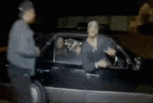 GreatImpartialAnt-max-1mb.gif