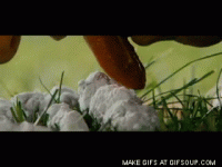 IMG_1922.gif