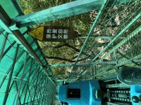 IMG_4673.jpeg