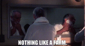 1746307384097.gif