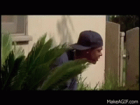 1746318743906.gif