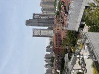 IMG_5300.jpeg