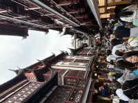 IMG_5334.jpeg