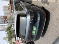 IMG_5299.jpeg