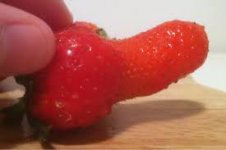 IMG_1973.jpeg