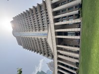 IMG_5632.jpeg